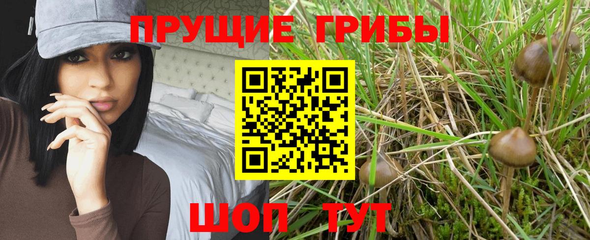 Псилоцибиновые грибы мицелий  Вход с VPN  Озёры  Галлюциногенные грибы мухоморы 