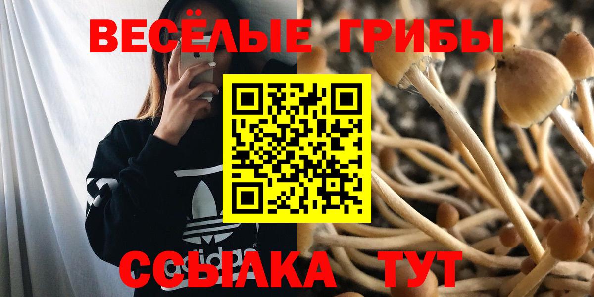 Галлюциногенные грибы MAGIC MUSHROOMS Озёры